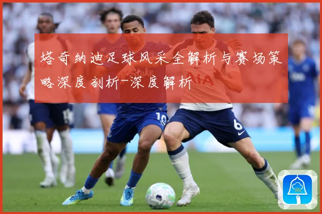 塔奇纳迪足球风采全解析与赛场策略深度剖析-深度解析