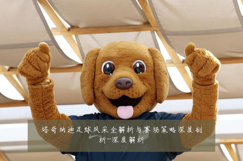 塔奇纳迪足球风采全解析与赛场策略深度剖析-深度解析