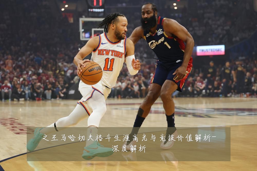 之王马哈切夫格斗生涯高光与竞技价值解析-深度解析